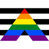 Pride Flagge – Ally