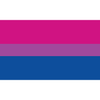 Pride Flagge – Bisexual