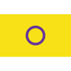 Pride Flagge – Intersex
