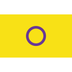 Pride Flagge – Intersex