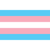 Pride Flagge – Trans