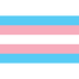 Pride Flagge – Trans